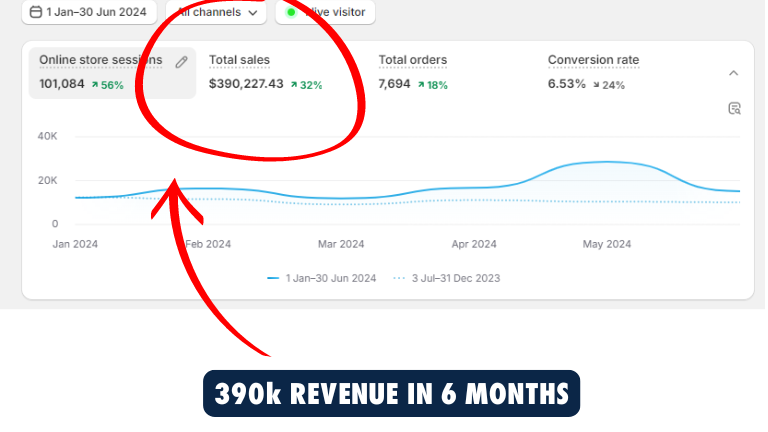Shopify dashboard: $390,227 in total sales, 7,694 orders, 6.53% conversion rate over 6 months